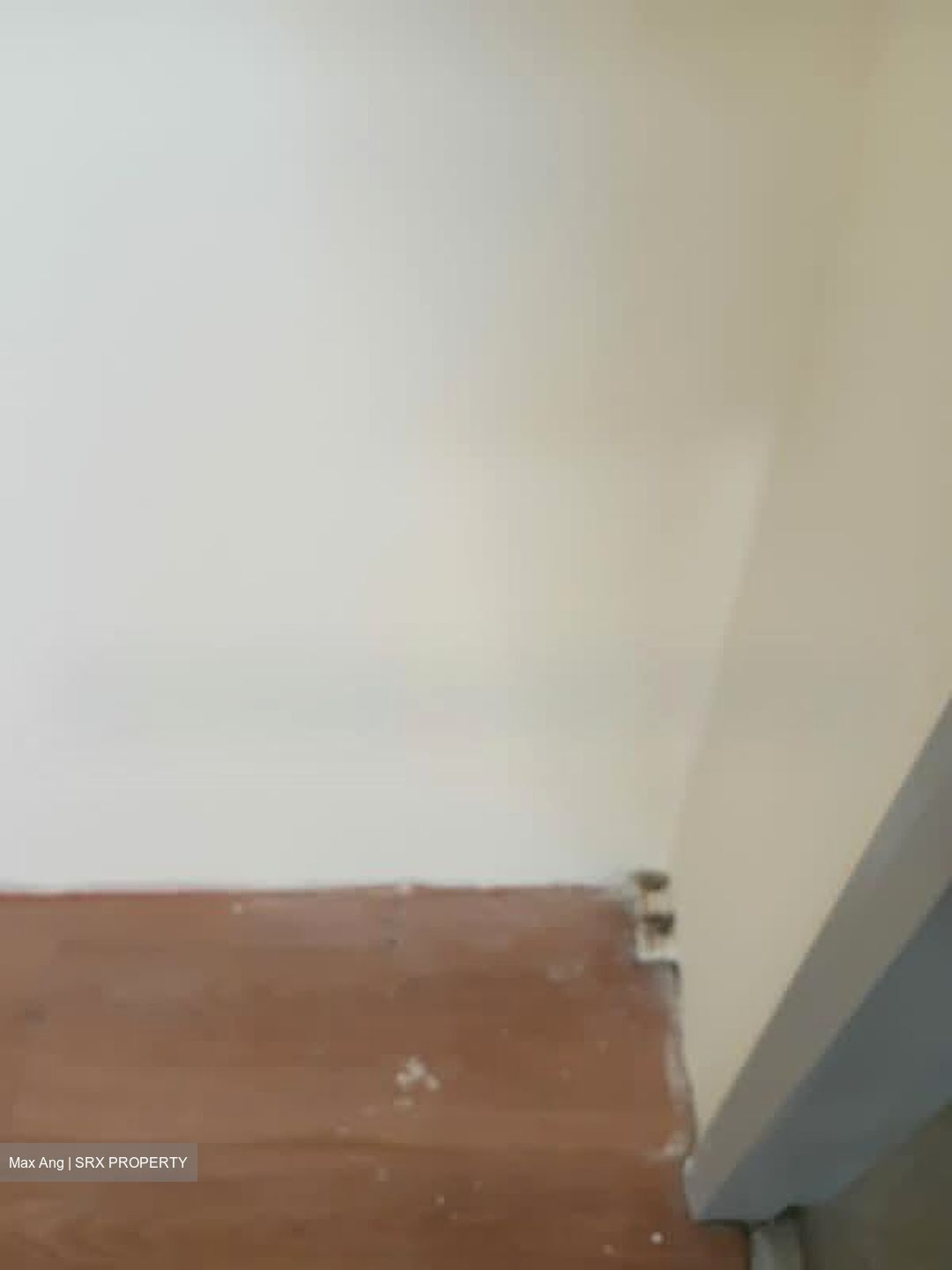 81 WHAMPOA DRIVE (D12), Shop House #594029831